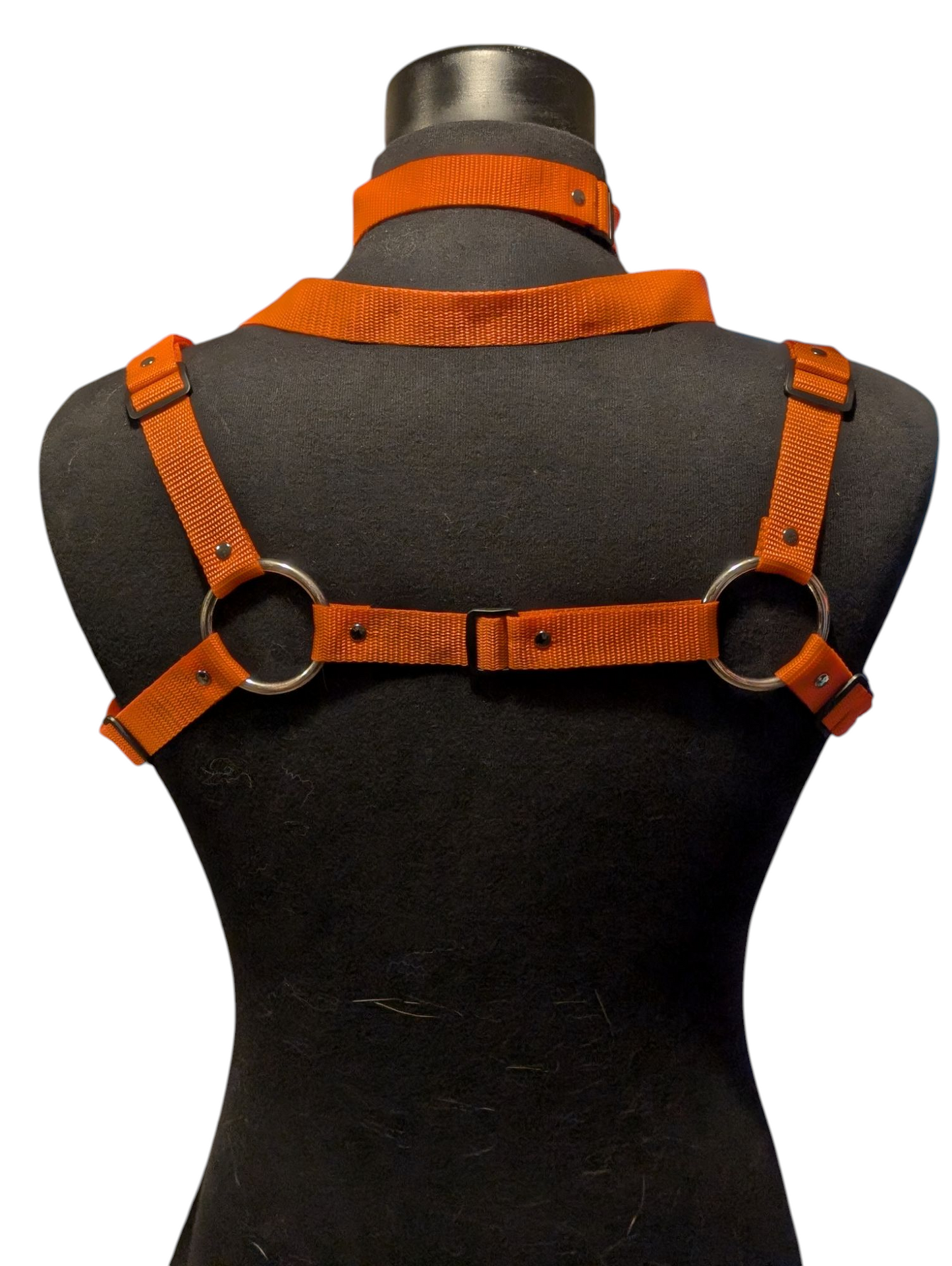 NEON ORANGE Bulldog Harness Set