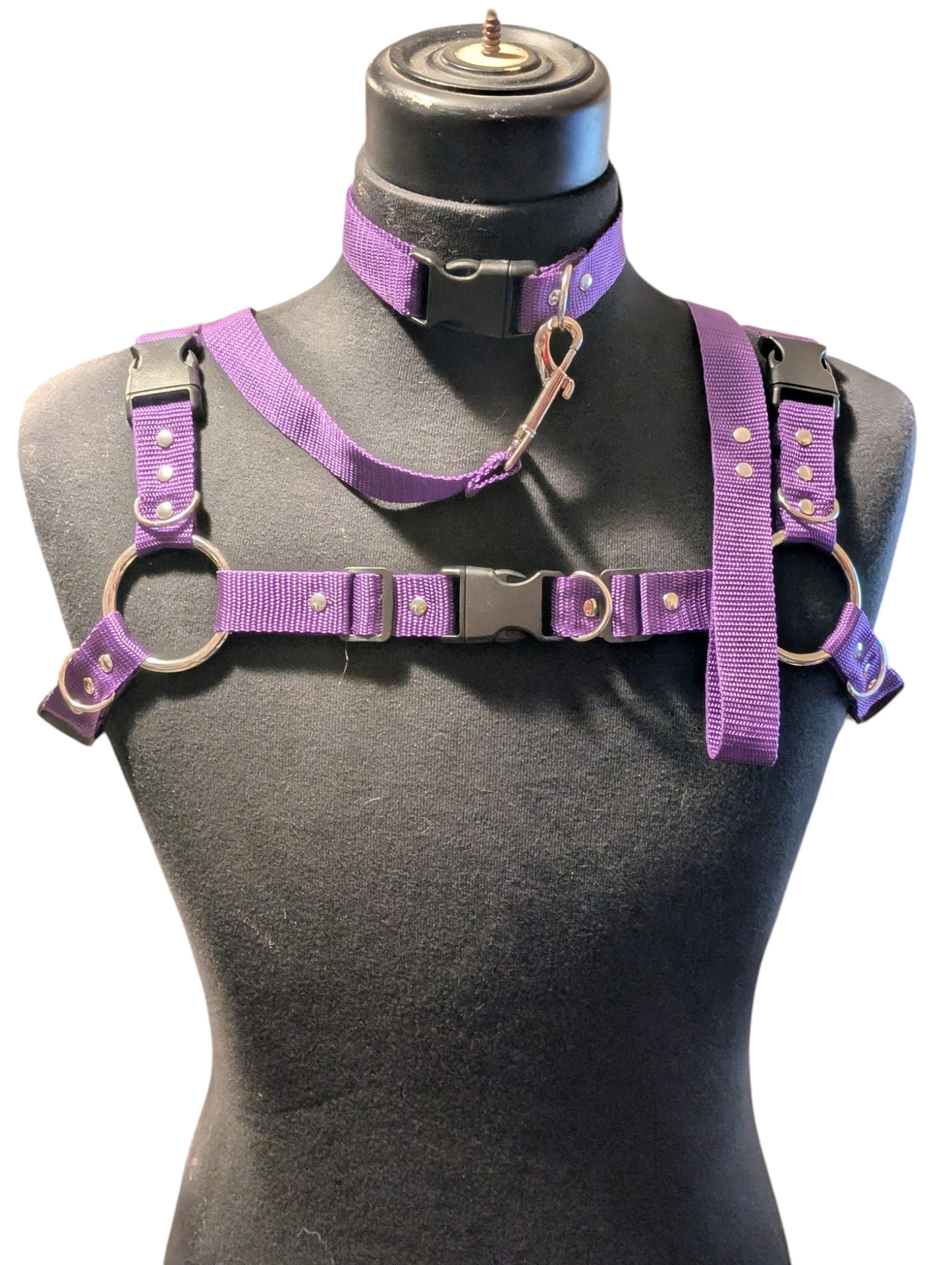 ROYAL PURPLE Bulldog Harness Set