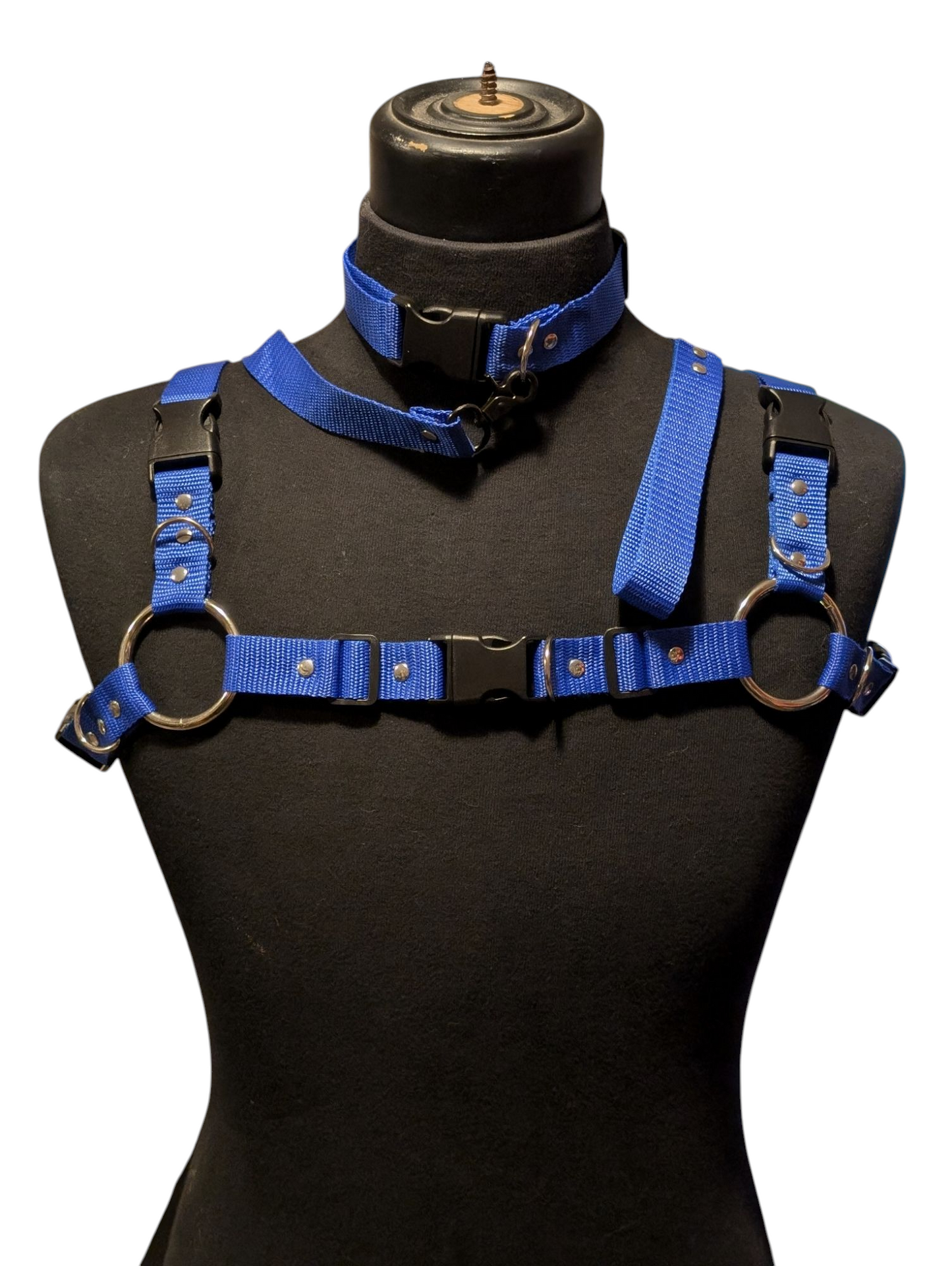 ROYAL BLUE Bulldog Harness Set