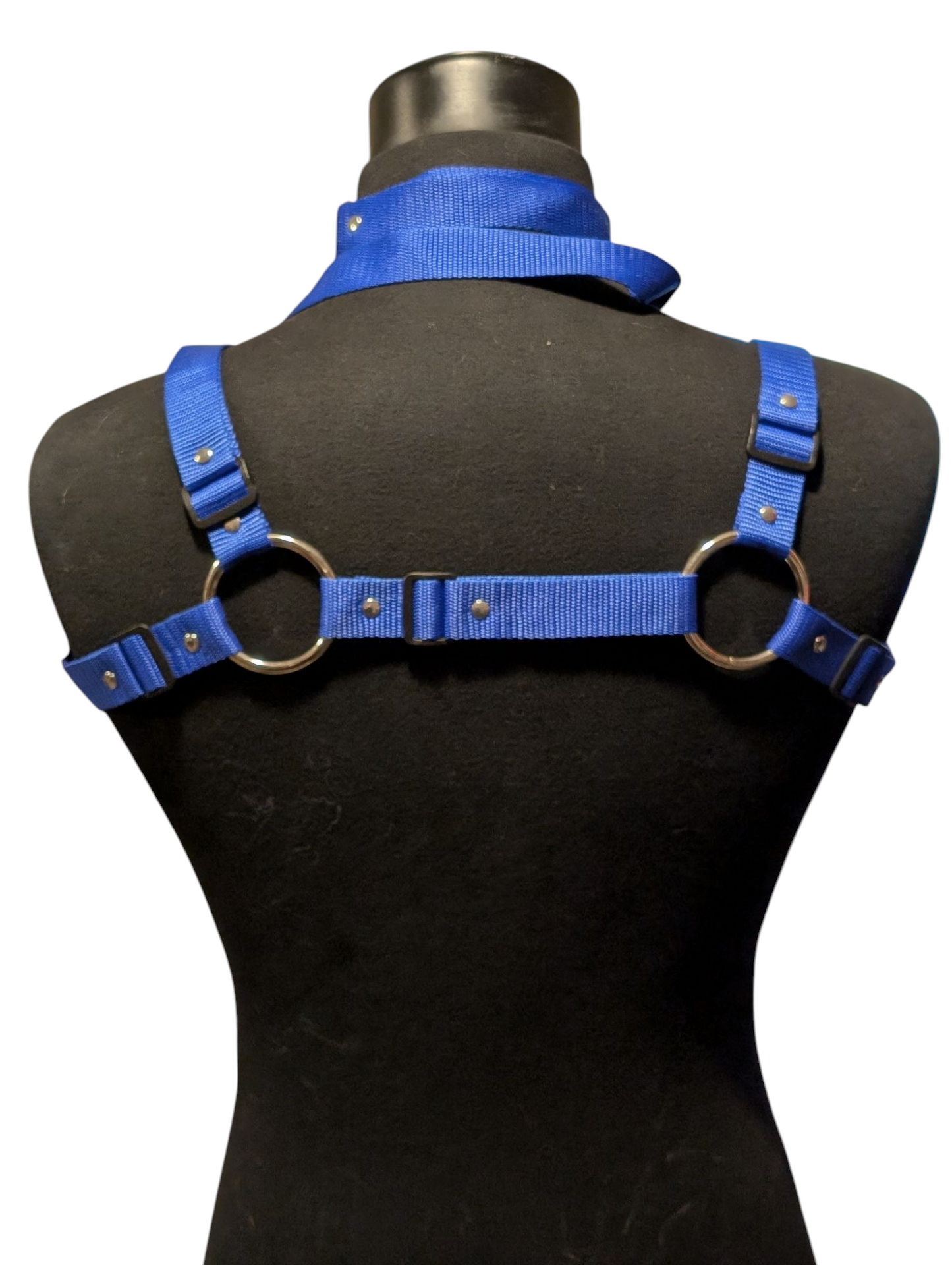 ROYAL BLUE Bulldog Harness Set