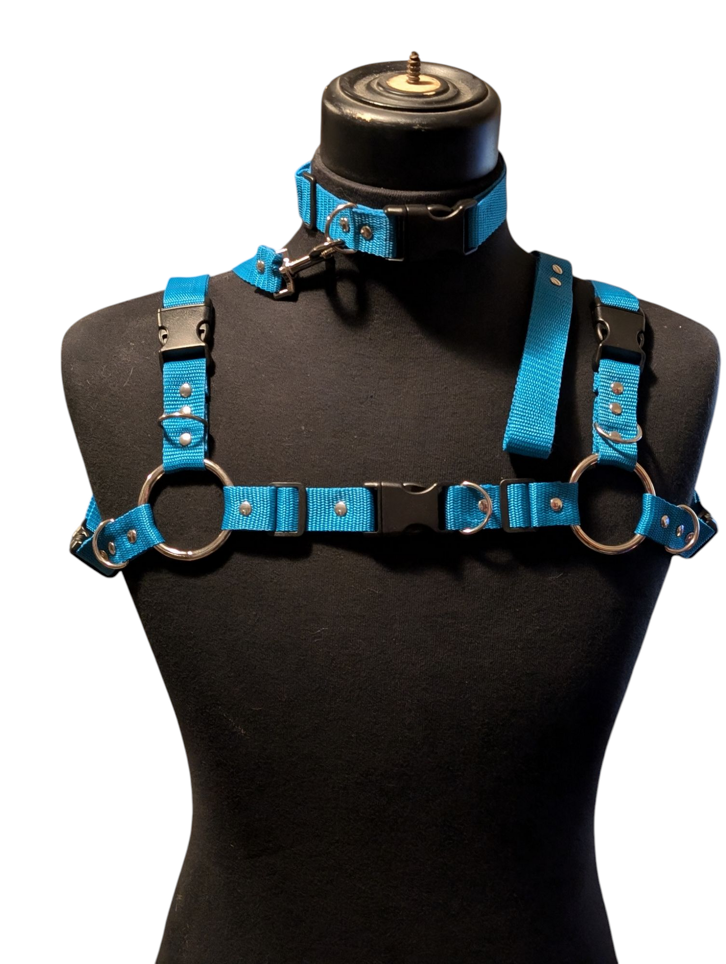 AQUA BLUE Bulldog Harness Set