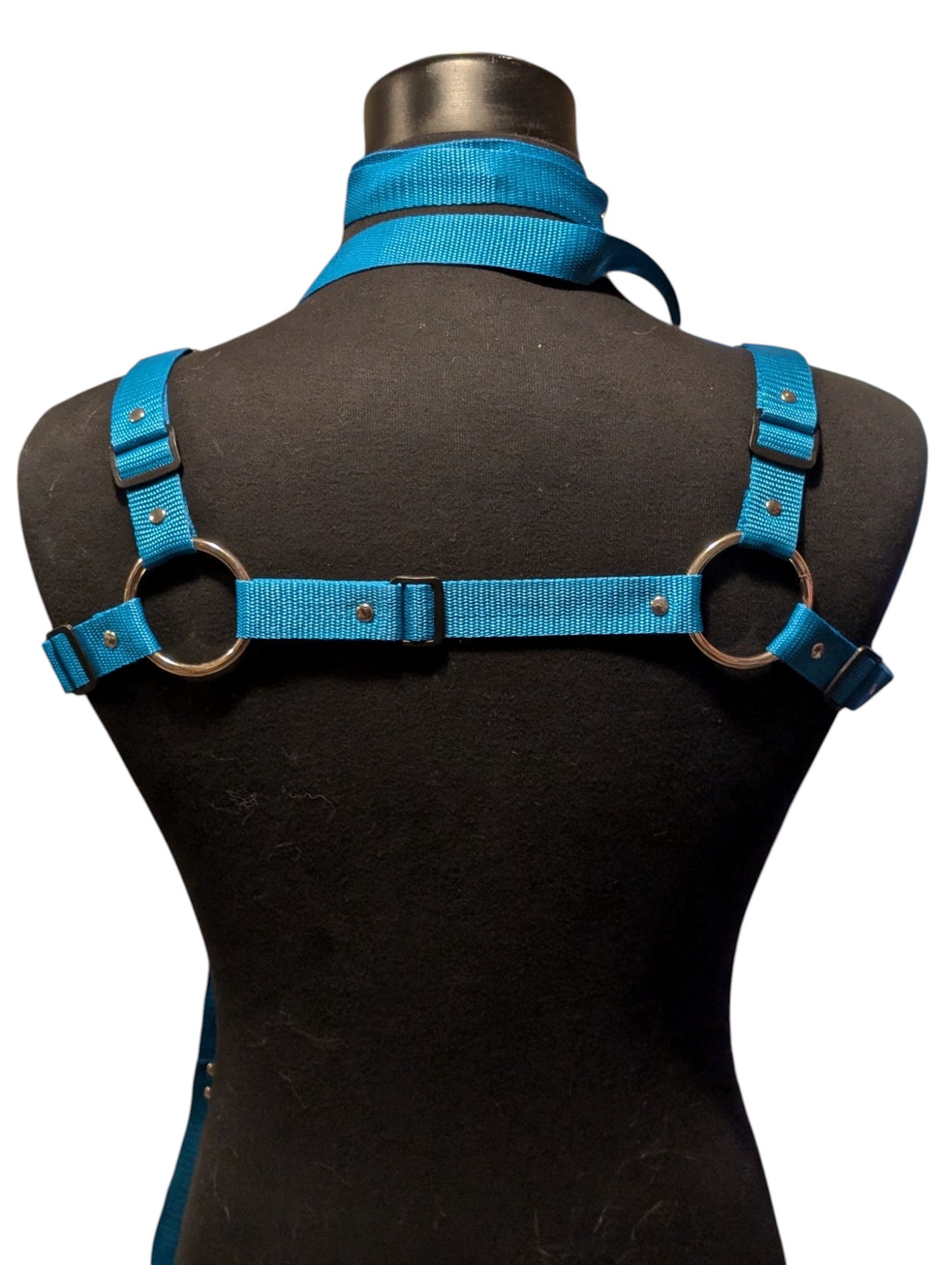 AQUA BLUE Bulldog Harness Set