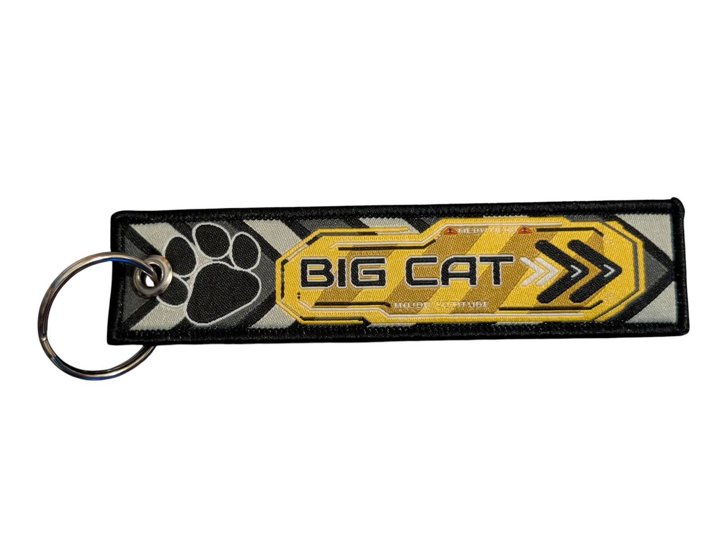 BIG CAT Jet Tag