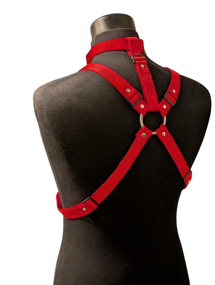 CLASSIC RED LOCKING COLLAR HARNESS SET