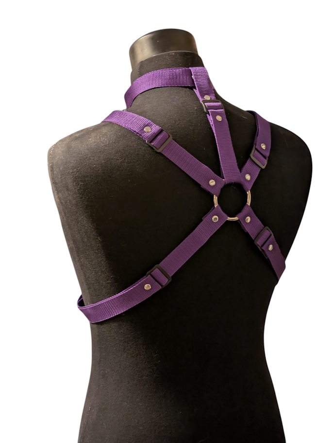 ROYAL PURPLE LOCKING COLLAR HARNESS SET