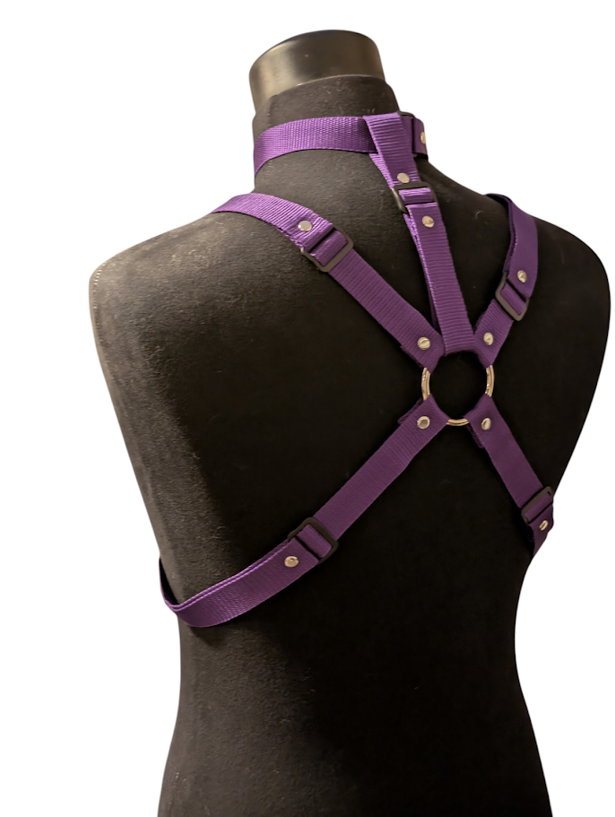 ROYAL PURPLE HARNESS SET (REGULAR COLLAR)