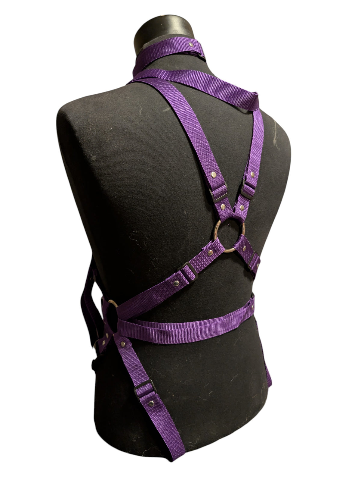 ROYAL PURPLE FULL BODY X