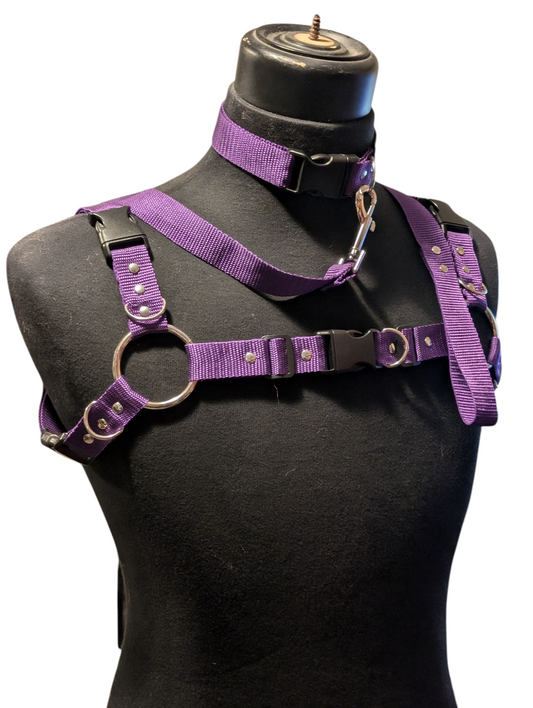 ROYAL PURPLE Bulldog Harness Set