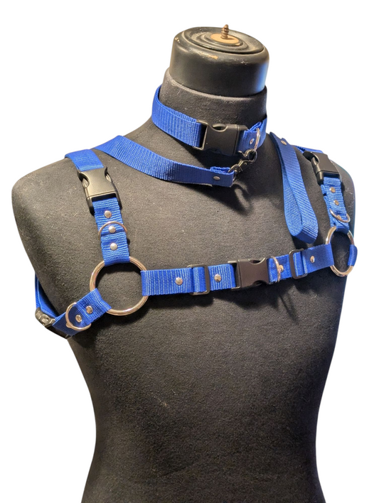 ROYAL BLUE Bulldog Harness Set