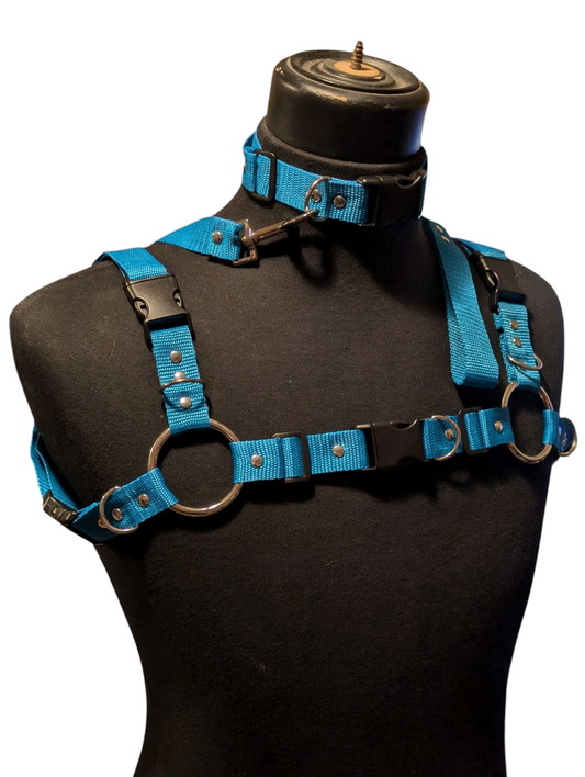 AQUA BLUE Bulldog Harness Set