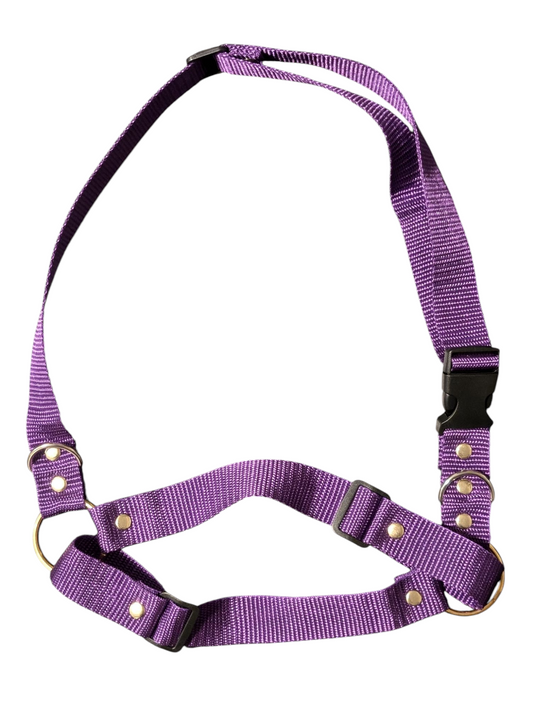 ROYAL PURPLE Basic Fursuit Muzzle