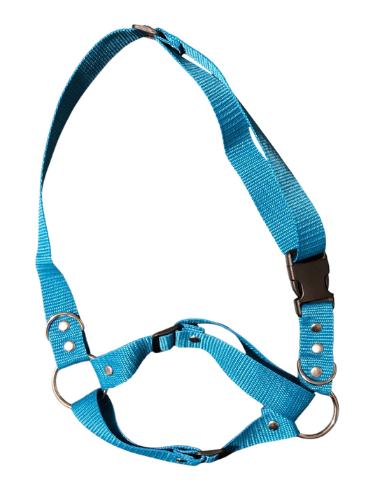 AQUA BLUE Basic Fursuit Muzzle