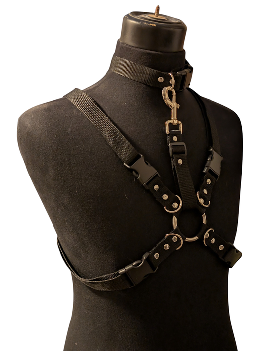 MIDNIGHT BLACK HARNESS SET (REGULAR COLLAR)