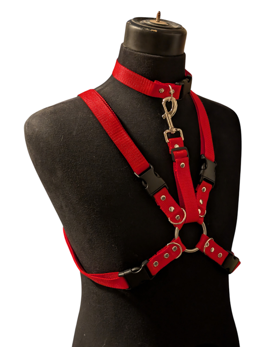 CLASSIC RED HARNESS SET (REGULAR COLLAR)