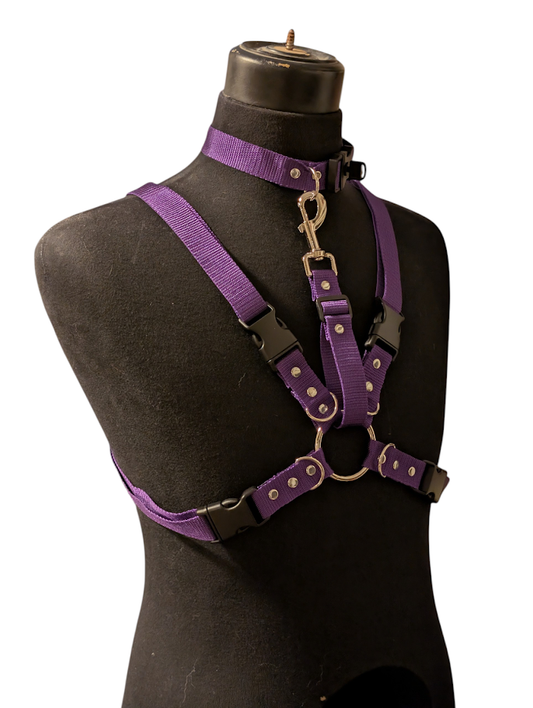 ROYAL PURPLE LOCKING COLLAR HARNESS SET