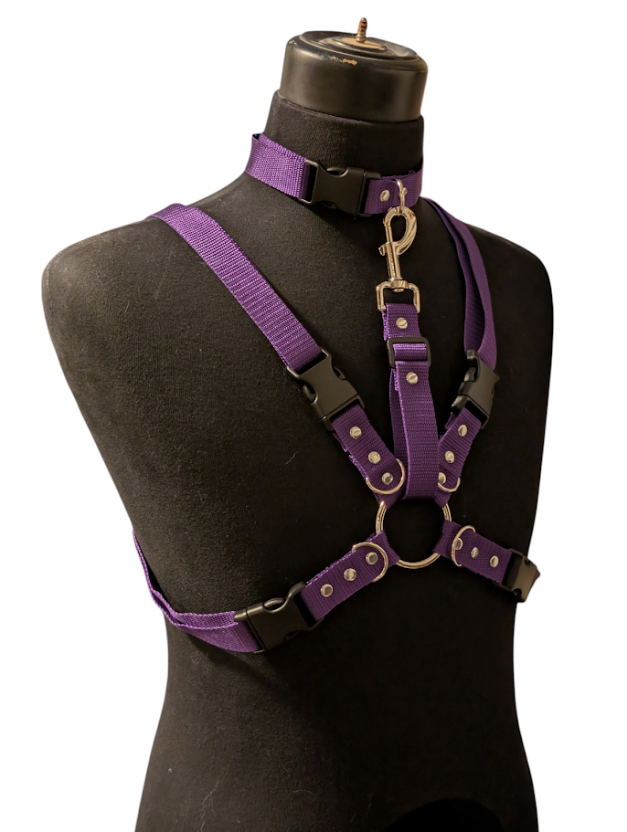 ROYAL PURPLE HARNESS SET (REGULAR COLLAR)