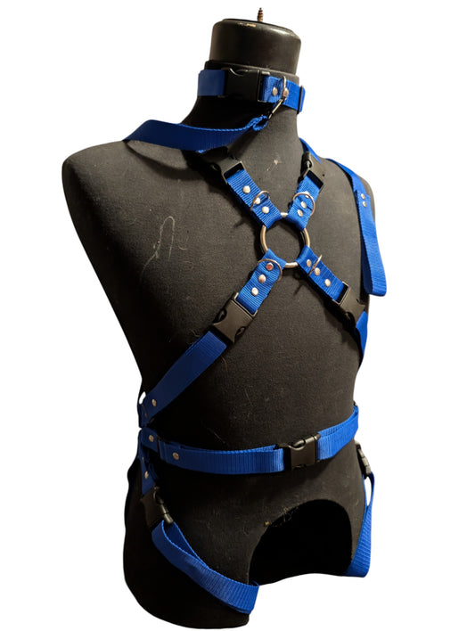 ROYAL BLUE FULL BODY X