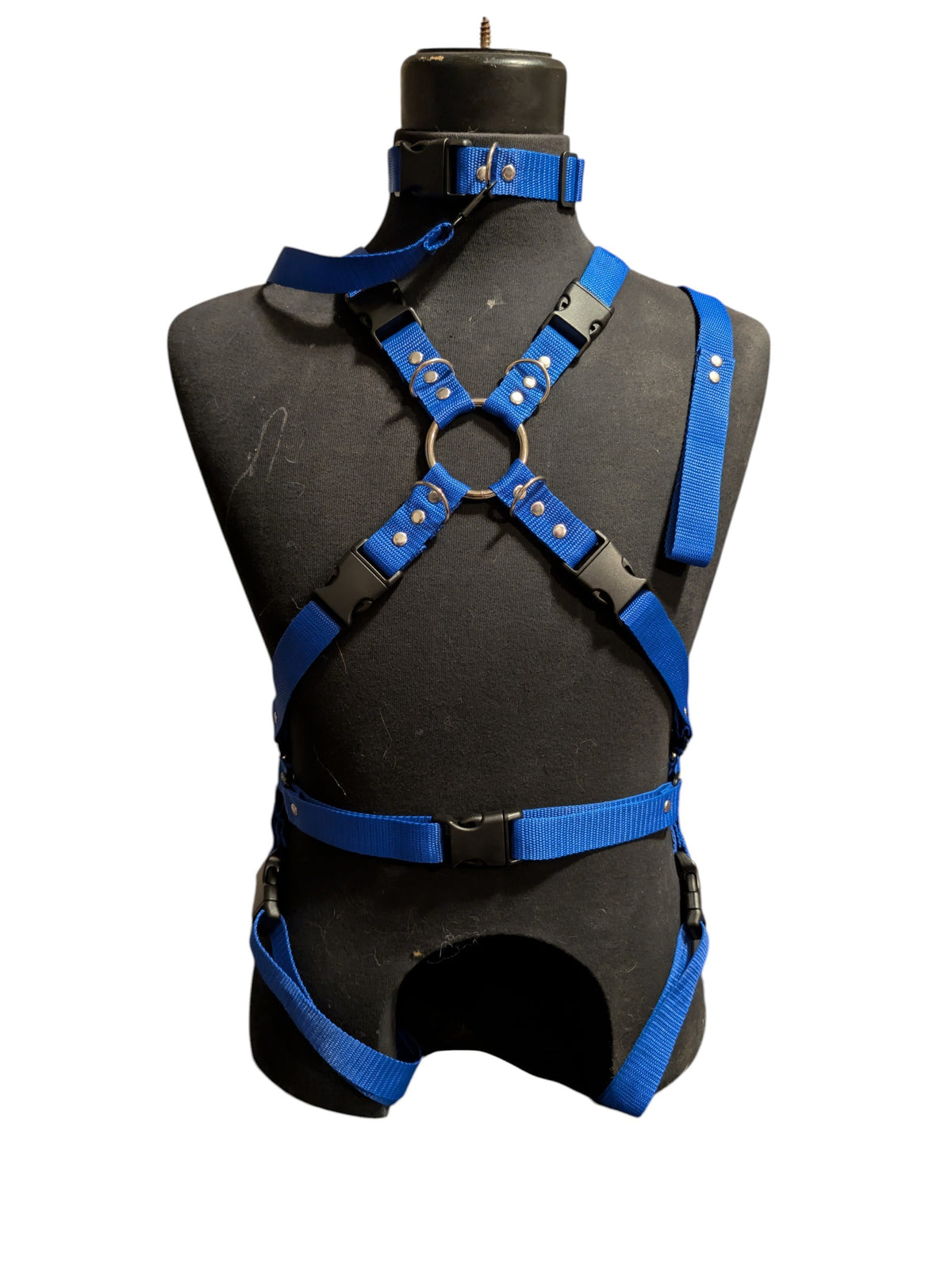 ROYAL BLUE FULL BODY X