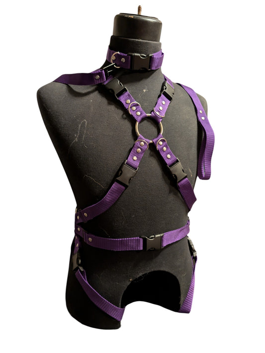 ROYAL PURPLE FULL BODY X
