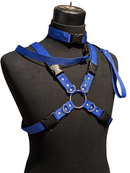 ROYAL BLUE X HARNESS