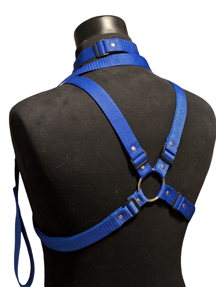 ROYAL BLUE X HARNESS