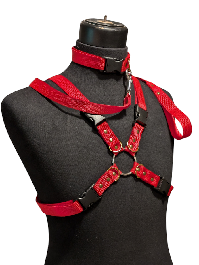 CLASSIC RED X HARNESS