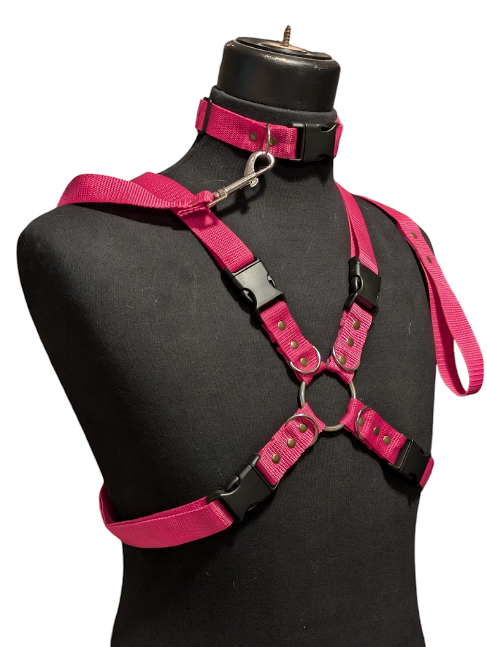 HOT PINK X HARNESS