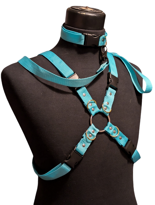 GLACIER TURQUOISE X HARNESS