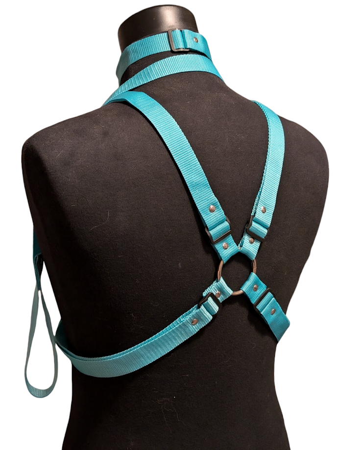 GLACIER TURQUOISE X HARNESS