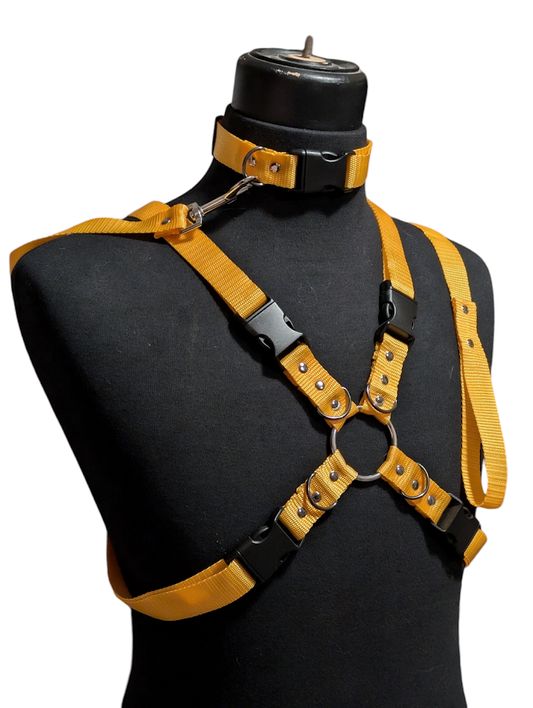 GOLDEN YELLOW X HARNESS