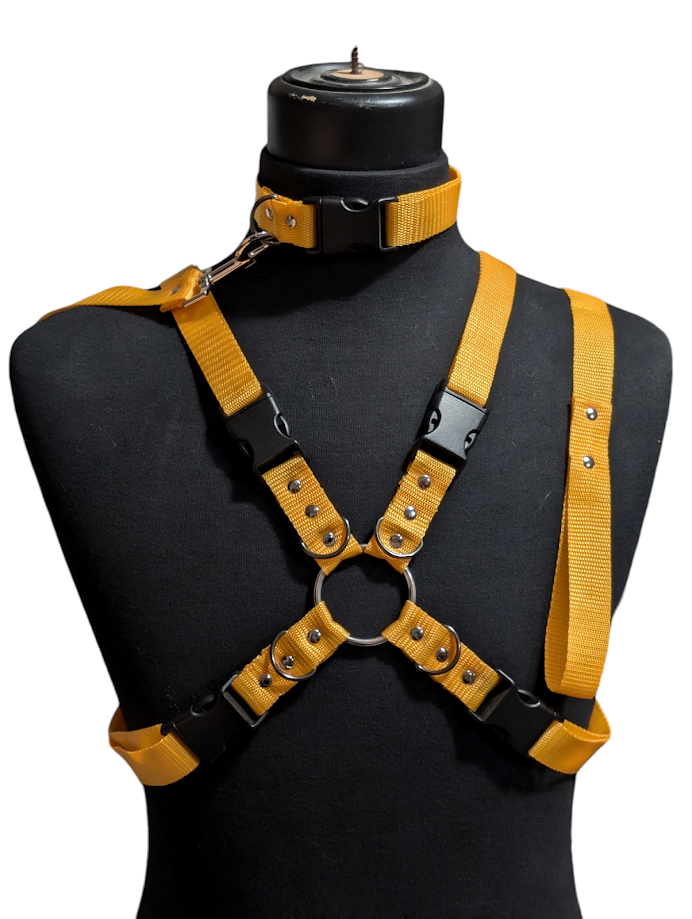 GOLDEN YELLOW X HARNESS