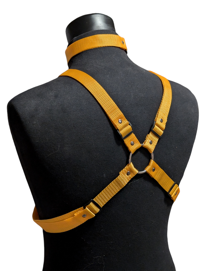 GOLDEN YELLOW X HARNESS