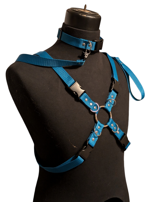 AQUA BLUE X HARNESS