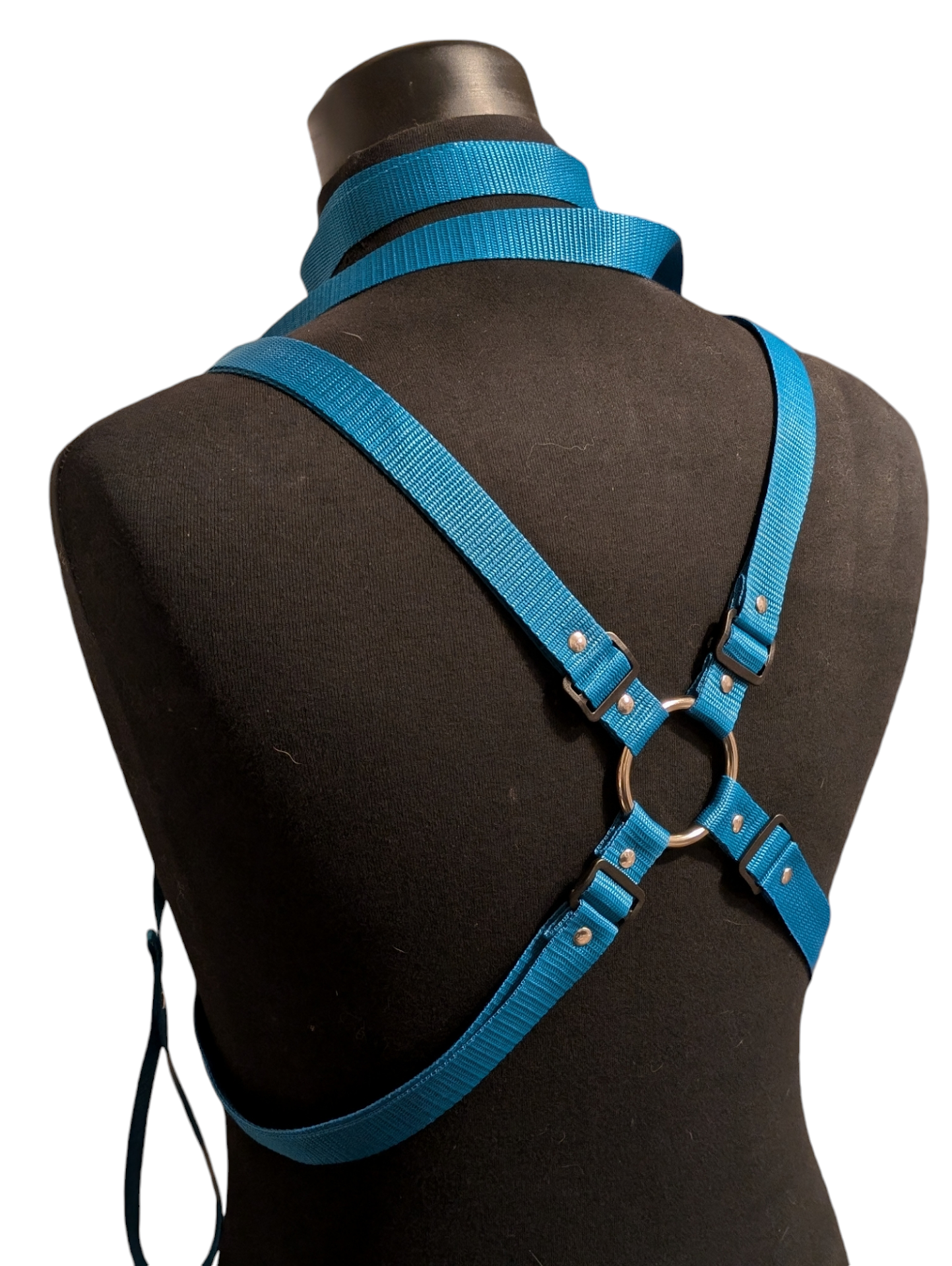 AQUA BLUE X HARNESS