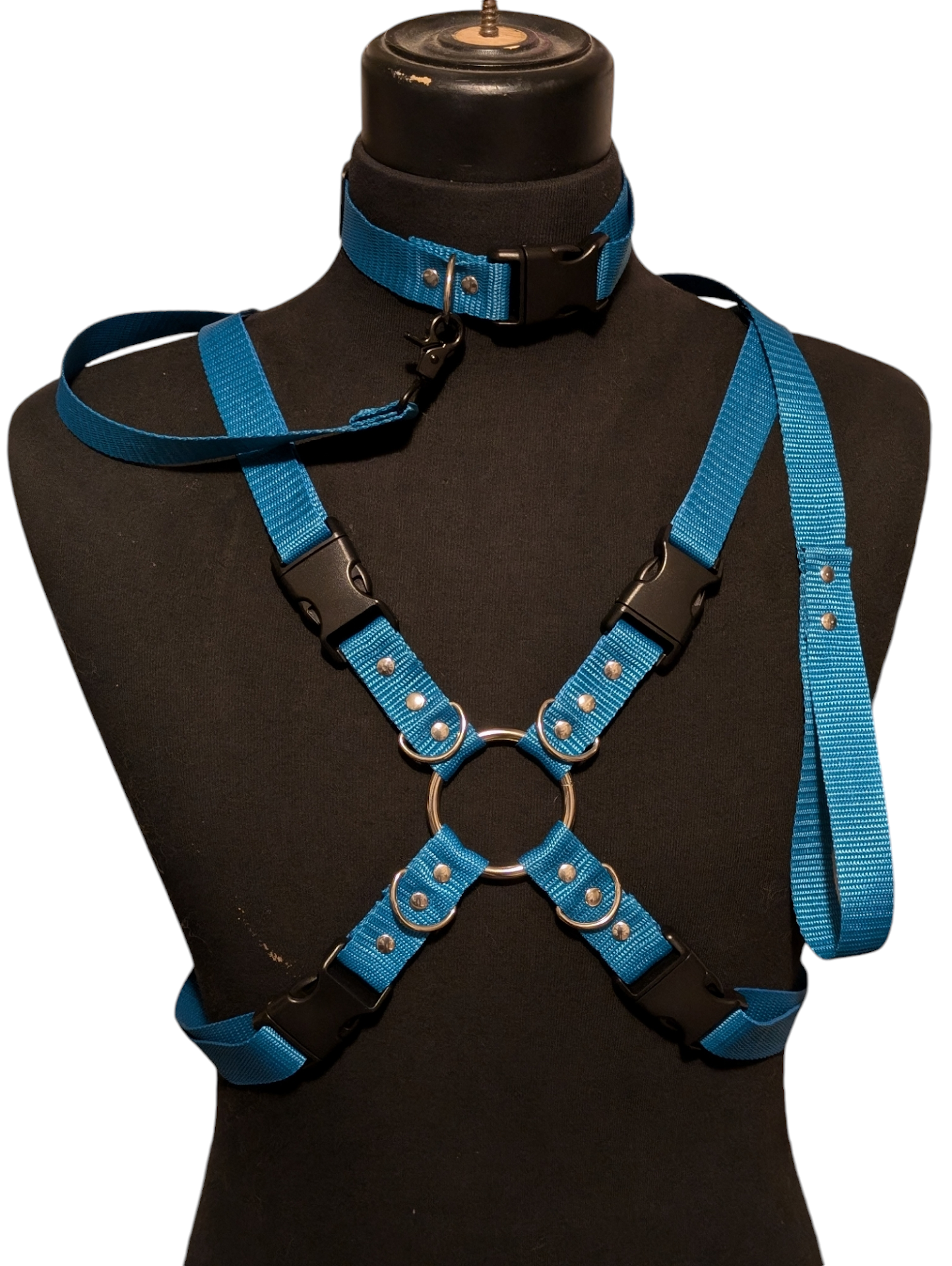 AQUA BLUE X HARNESS