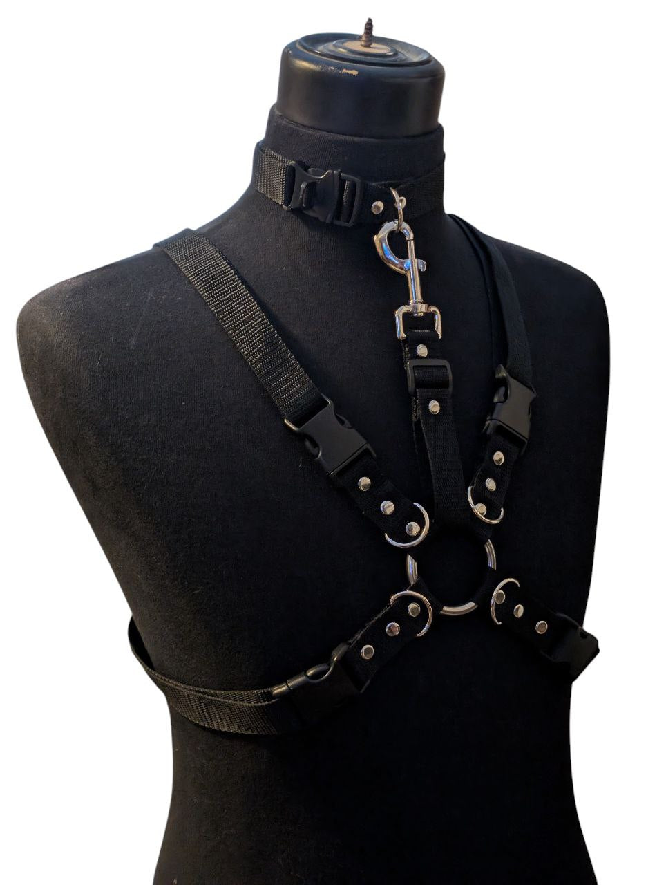 MIDNIGHT BLACK LOCKING COLLAR HARNESS SET