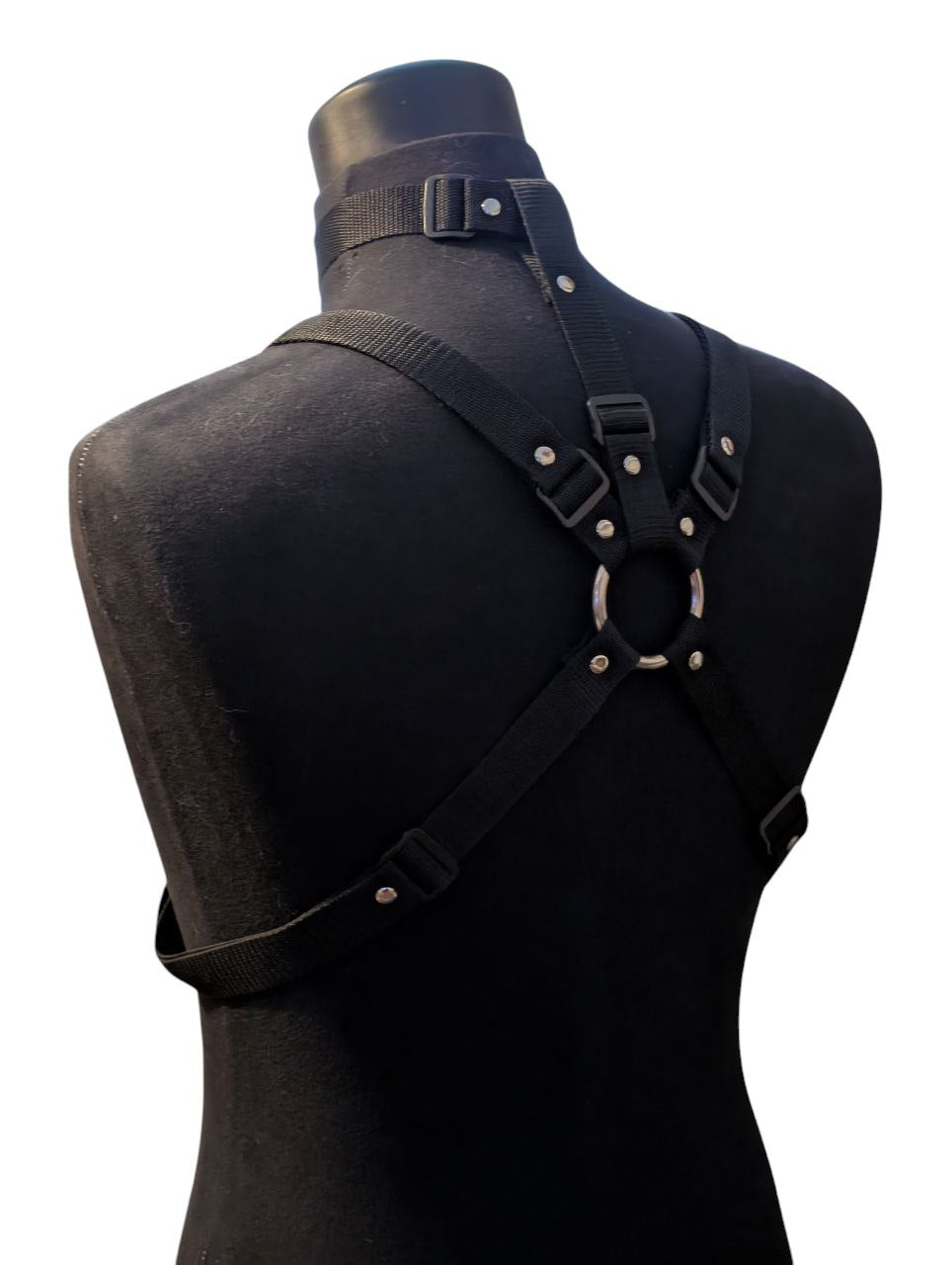 MIDNIGHT BLACK LOCKING COLLAR HARNESS SET